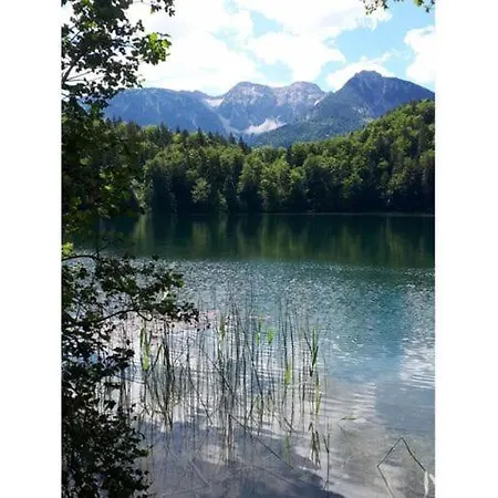 Alpenrose * Риден