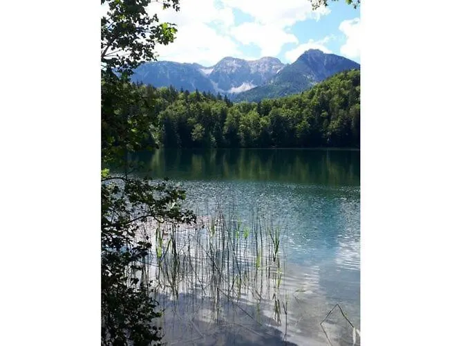 Alpenrose * Риден