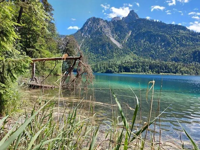 Alpenrose Риден